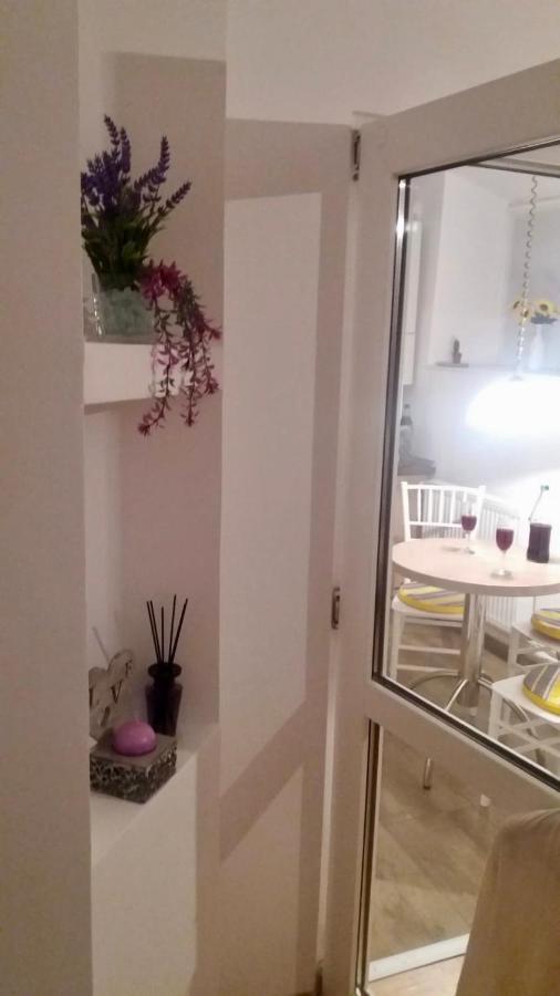 Diac Apartment Center 브라쇼브 외부 사진